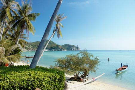 Resort Photo 6